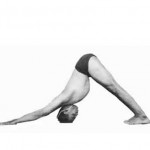 YogaLab-Iyengar-Yoga-Adho-Mukha-Svanasana